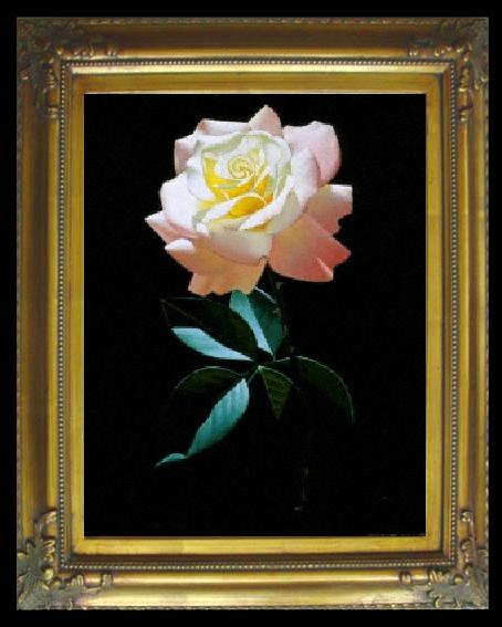 framed  unknow artist Still life floral, all kinds of reality flowers oil painting 47, Ta066